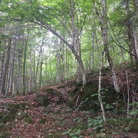 Chalet Nature Laurentides Val-des-Lacs Eksteriør bilde