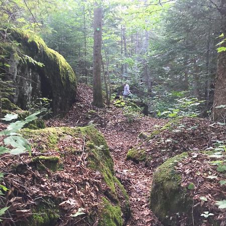 Chalet Nature Laurentides Val-des-Lacs Eksteriør bilde