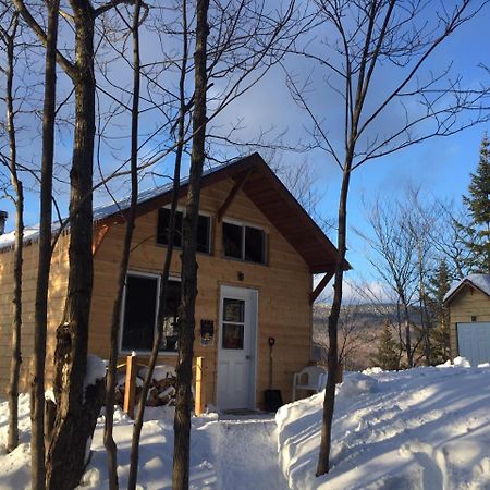 Chalet Nature Laurentides Val-des-Lacs Eksteriør bilde