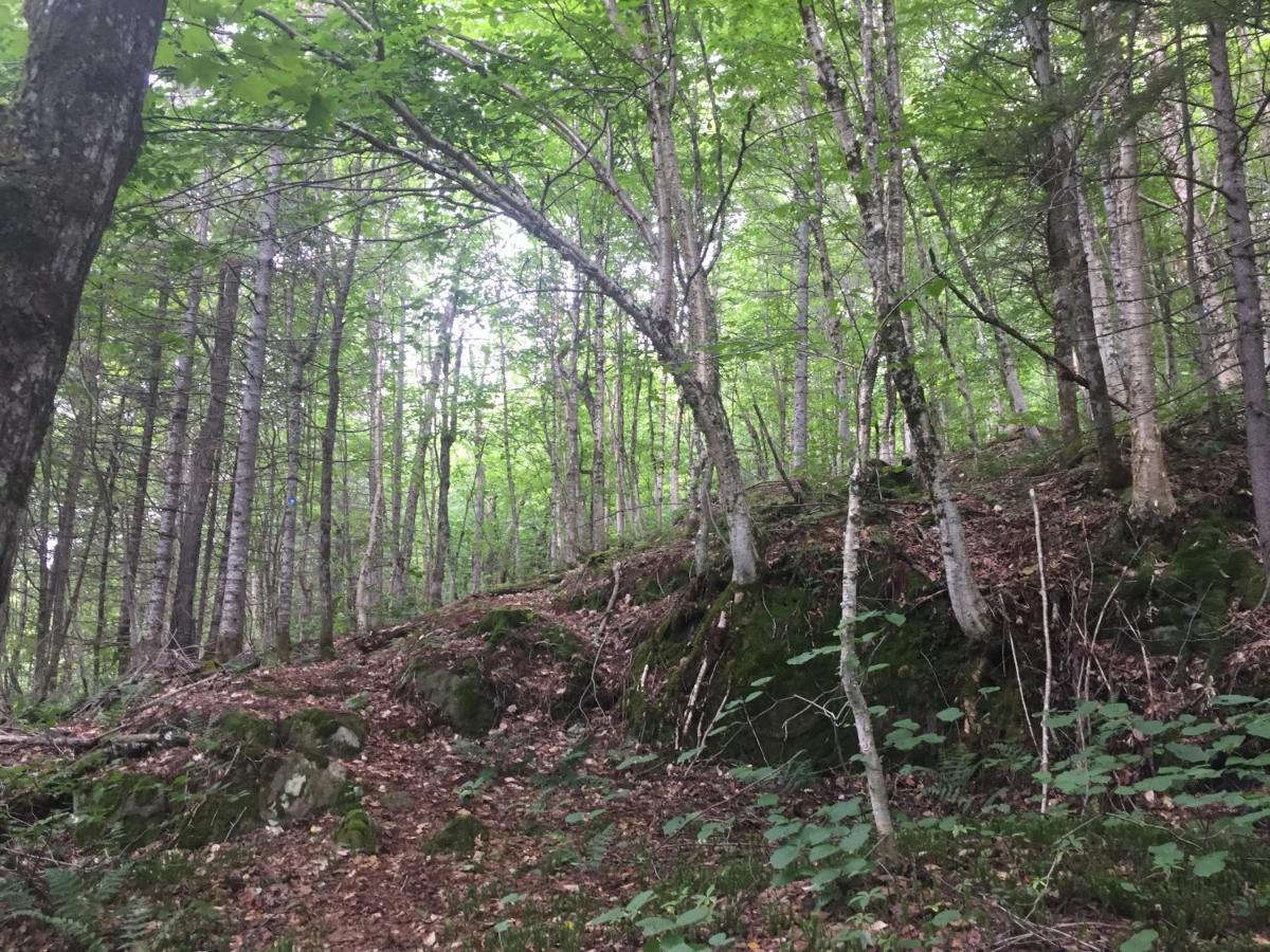 Chalet Nature Laurentides Val-des-Lacs Eksteriør bilde