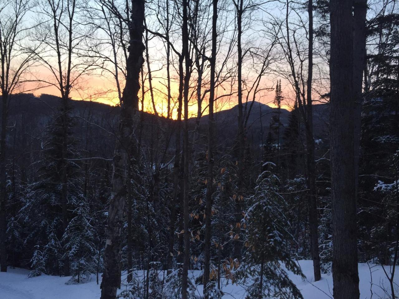 Chalet Nature Laurentides Val-des-Lacs Eksteriør bilde